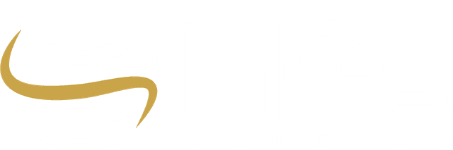 MGA Holding